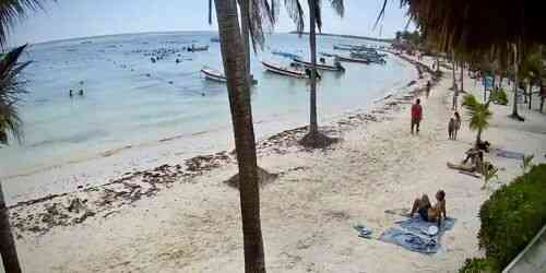 Watch Live Akumal Beach - Playa del Carmen