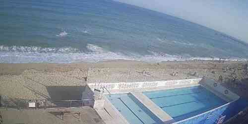LIVE: Badalona Swimming Club - Barcelona