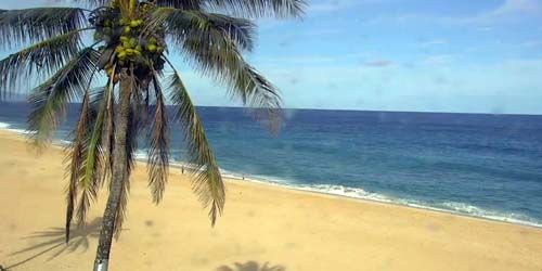 Banzai Pipeline beach - live webcam, Hawaii Honolulu