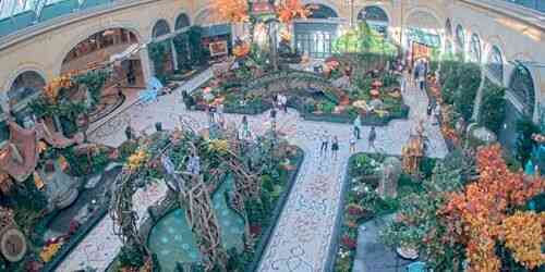 Bellagio Conservatory &amp; Botanical Gardens webcam - Las Vegas