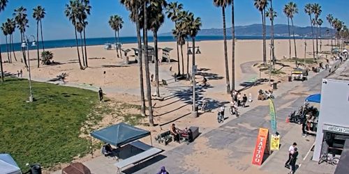 Promenade de la plage de Venise -  Webсam , California Los Angeles