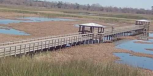 Pantano de totora Humedales panorámicos y paseo marítimo -  Webcam , Texas Beaumont