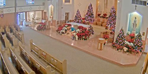 St. Bruno Church - live webcam, Illinois Chicago