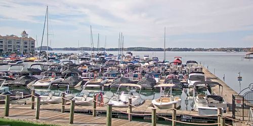 Freedom Boat Club on Lake Norman in Cornelius - live webcam, North Carolina Charlotte