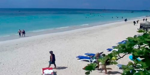 Coco La Palm beach - live webcam, Westmoreland Negril