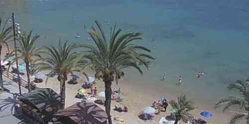 LIVE: Playa del Cura - Torrevieja
