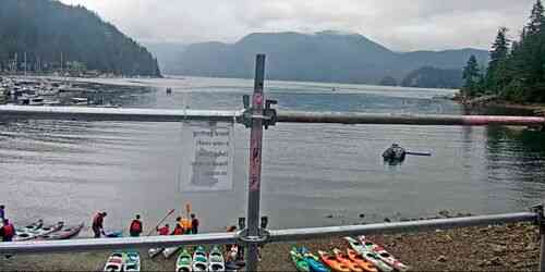 LIVE: Deep Cove Kayak Centre