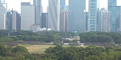 centro, vista de los rascacielos -  Webcam , Chicago (IL)