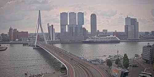 LIVE: Pont Erasmus - Rotterdam