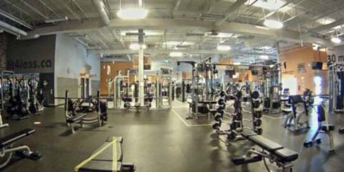 Fitness and weightlifting room - Live Webcam, Toronto (ON)