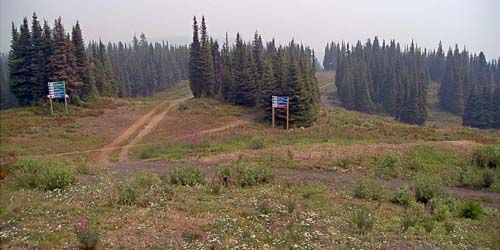 Silver Star ski slopes in the resort dense forest - live webcam, British Columbia Vernon