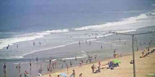 LIVE: Playa de Furadouro - Santa Maria da Feira