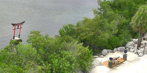Tropical Forest & Botanical Garden - live webcam, Florida Key West