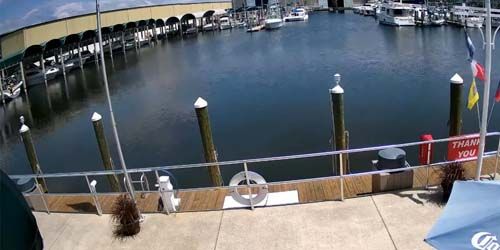 Gasparilla Marina - live webcam, Florida Fort Myers