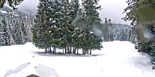 Golf course in the forest - live webcam, British Columbia Whistler