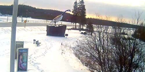 Goose Statue - live webcam, Ontario Wawa