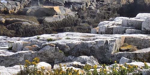 Colonies of gulls on the rocky shores on Shoals Islands - live webcam, Maine Kittery