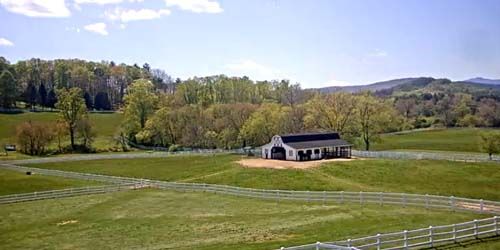 Horse Farm in Hendersonville - live webcam, North Carolina Asheville