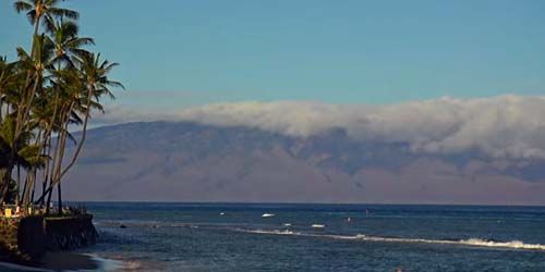 Humpback Whale National Marine Sanctuary - live webcam, Hawaii Kahului