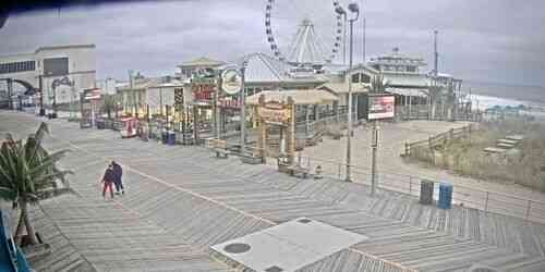 Regarder en direct Barre LandShark — Atlantic City