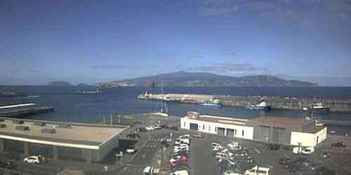 Madalena Port Live Stream