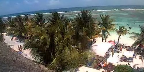 Palmiers et plages sur la côte de Mahahual -  Webсam , Quintana Roo Chetumal
