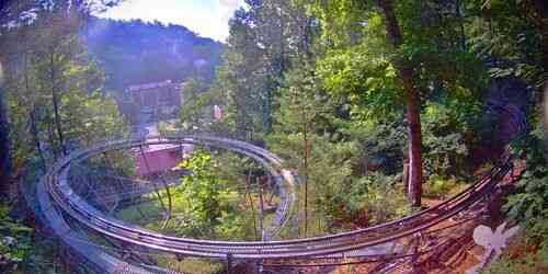 Watch Live Moonshine Mountain Coaster — Gatlinburg