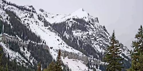 Bosque Nacional Custer Gallatin - Mountain Real Estate -  Webcam , Montana Red Lodge