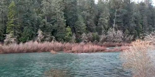 Jedediah Smith Redwoods State Park - live webcam, California Crescent City