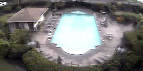 Pools in hotels on the coast - live webcam, Hawaii Honolulu