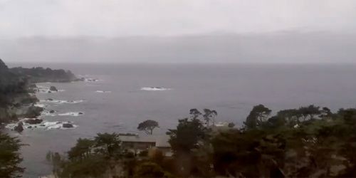 Point Lobos State Marine Reserve - live webcam, California Monterey