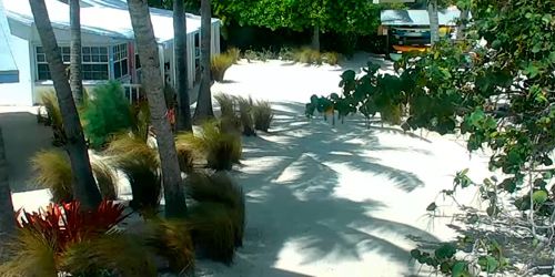 Pines and Palms Resort - Islamorada - live webcam, Florida Miami