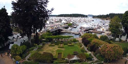 Amarrages avec yachts dans le port de Roche -  Webсam , Washington Seattle