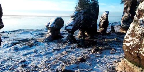 Parc provincial Hopewell Rocks -  Webсam , Nouveau-Brunswick Moncton
