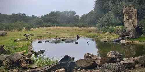 Watch Live Sendero Vivo in Navalagamella - Madrid