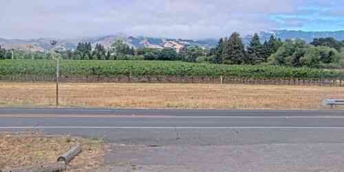 LIVE: Sonoma Valley