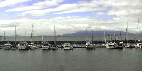 Squalicum Harbor - live webcam, Washington Bellingham