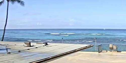 Surfers on the waves, view from the hotel terrace - live webcam, Hawaii Honolulu