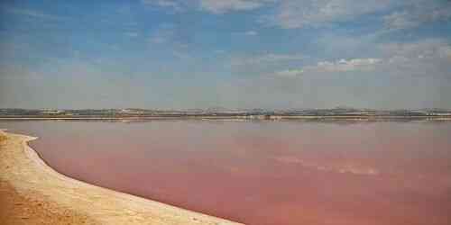 Watch Live Pink Lake Torrevieja — Alicante