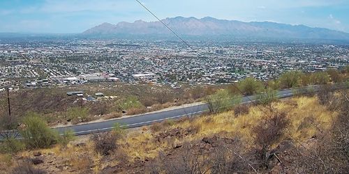 Colline de Tumamoc -  Webсam , l'Arizona Tucson