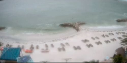 Winter the Dolphin's Beach Club - live webcam, Florida Clearwater