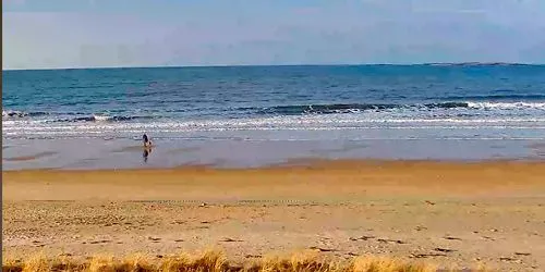 Alouette Beach Resort in Saco Bay webcam