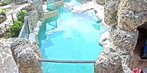 Acuario de Waikiki webcam