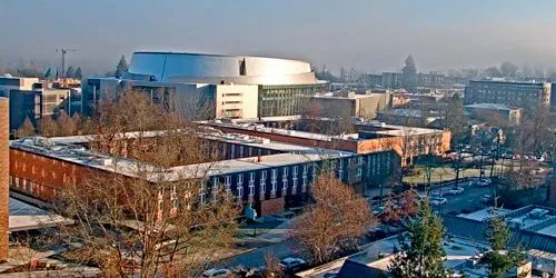 Matthew Knight Arena Webcam