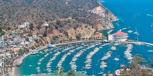 Port d’Avalon sur l’île de Catalina Caméra web