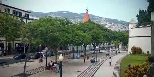 Avenida Arriaga in Funchal Webcam