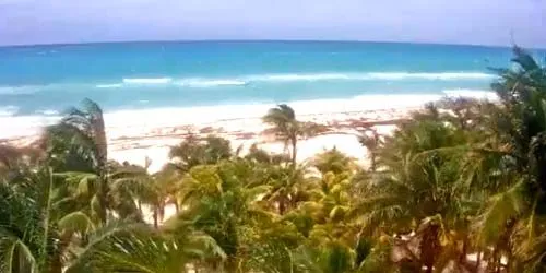 Beach Hotel Viva Wyndham Azteca webcam