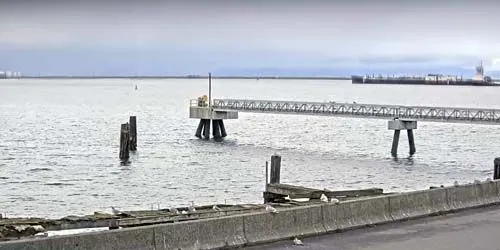 View of the bay from the embankment, Salish Sea Webcam