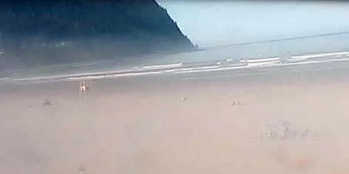 Caméra PTZ sur une plage du Pacifique Nord Caméra web