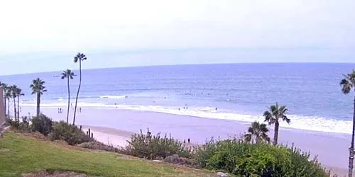 Plage sauvage avec palmiers webcam - Los Angeles